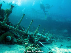 Divers on the wreck on the Abu Dabab reef in the southern... by Ros Parmenter 